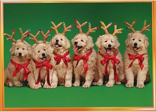 Avanti Press Fila de cachorros de renos con cuernos lindo Golden Retriever tarjeta de Navidad