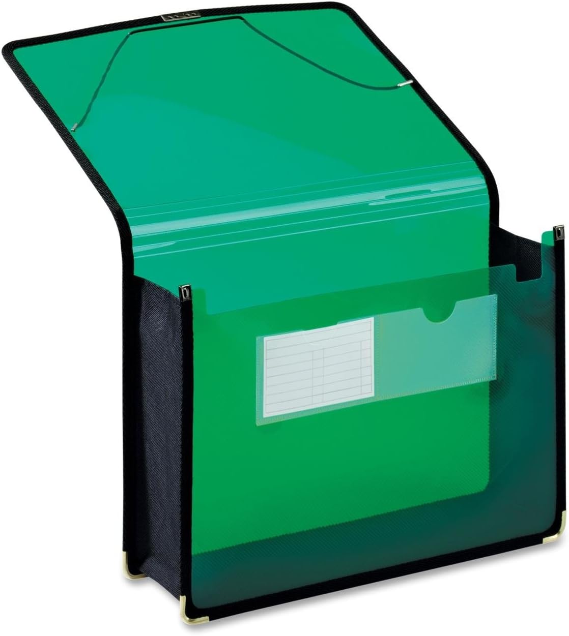 Globe-Weis/Pendaflex Poly File Wallet, 3.5-Inch Expansion, Elastic Cord Closure, Letter Size, Green (84041GR) : Everything Else