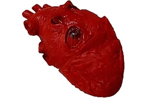 Life-Size Gore-Tex Disemboweled Foam Beating Heart Halloween Prop
