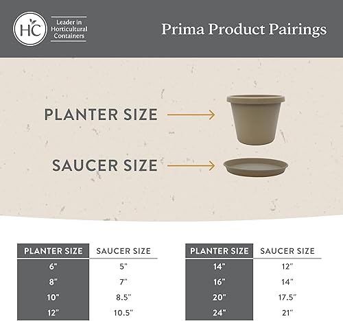 Miniatura 7 de The HC Companies Maceta redonda Prima de 10 pulgadas, maceta de plástico con borde enrollado para plantas de interior y exterior, flores, hierbas,