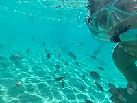 Review Image by Amanda Amanda