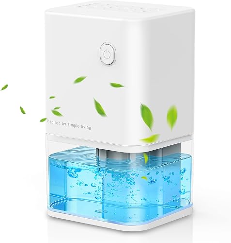 Deshumidificateur d Air Anti Moisissure 500ML 