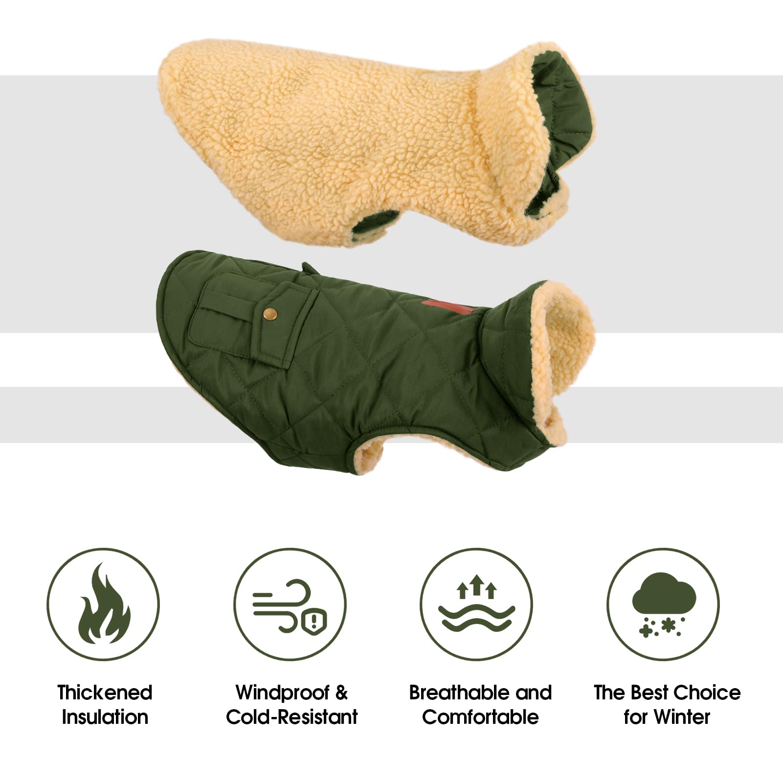 CITÉTOILE Cappotto Invernale per Cani - Gilet Termico con Lana Spessa, Giacca Antivento per Chihuahua e Razze Piccole/Medie/Grandi, Foro con Corda di Trazione, Verde, S