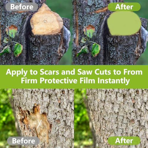 Image of ORTIZA Pruning Sealer Paste, Tree Wound Care for Bonsai Grafting
