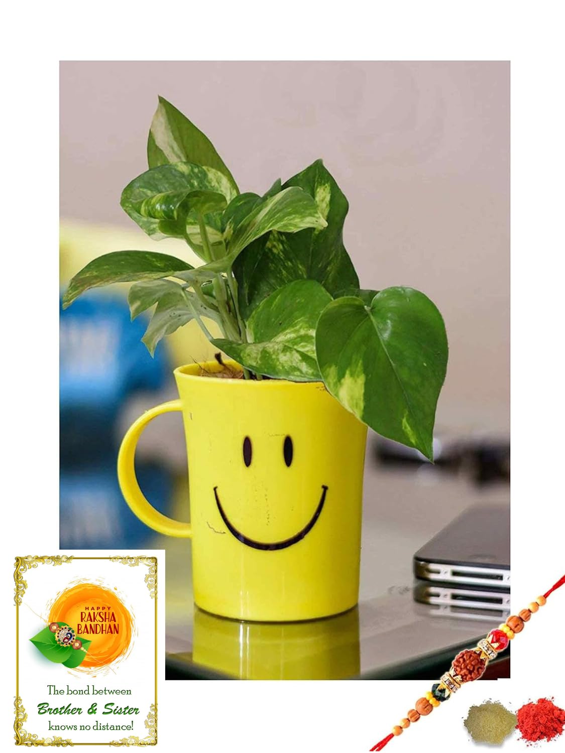 Rolling Nature Rakhi Combo of Good Luck Money Plant in Smiley Cup (B07GL6KG6P) Amazon Price History, Amazon Price Tracker