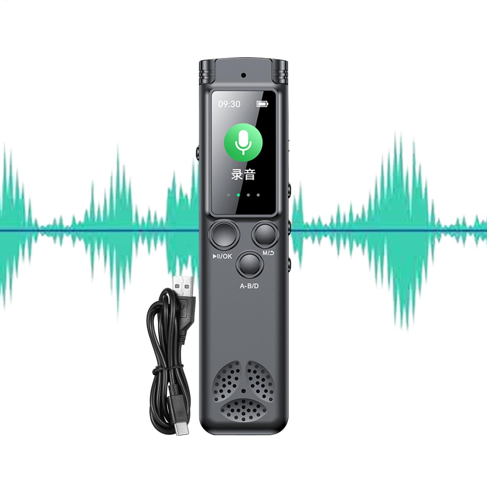 Recording Devices Meetings, HD Sound Capturer, Large Screen Recorder | Microfoni, Noise Reduction, (1 pezzo, Black), Ideal for Journalists, Student and Lawyers