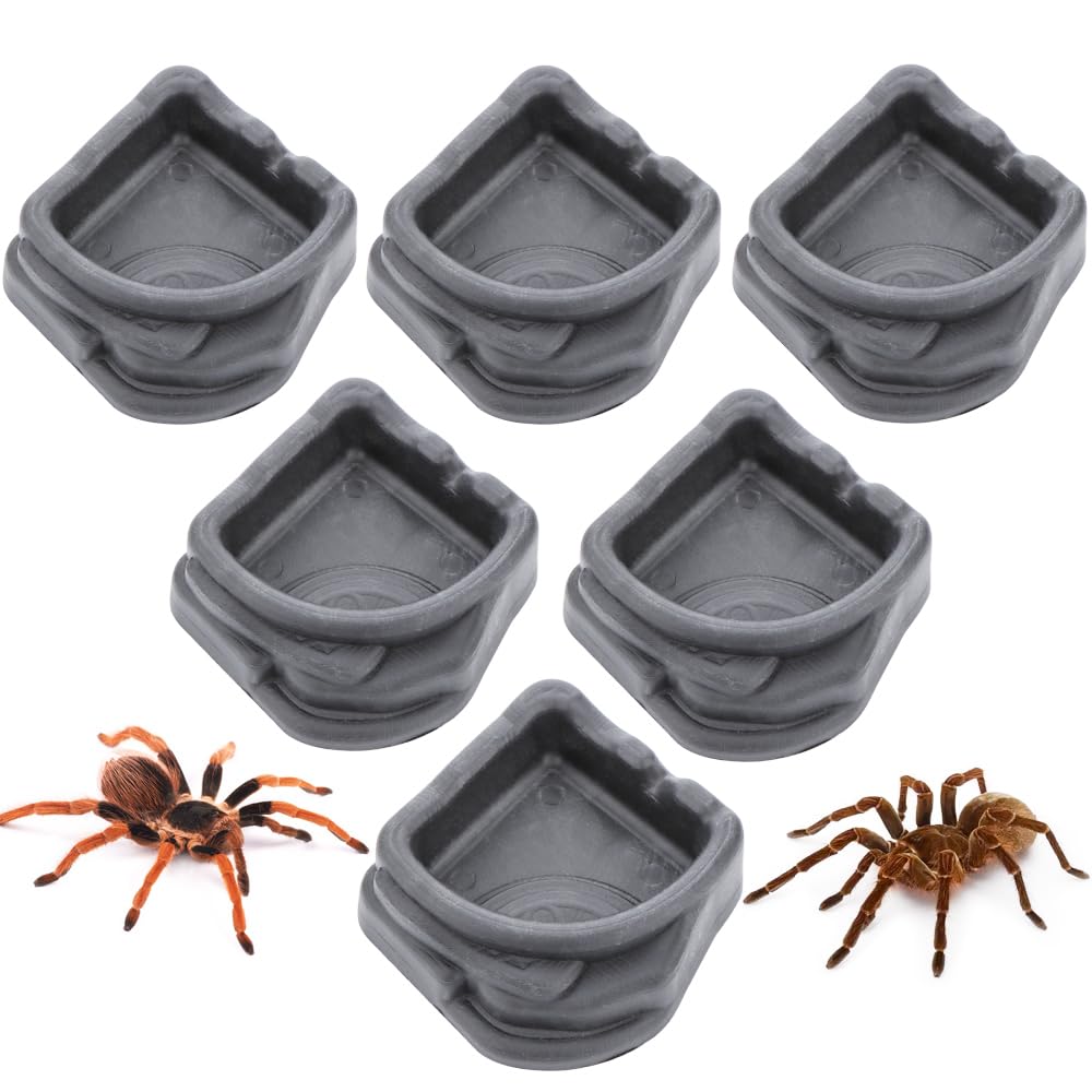 6 Pcs Spider Micro Water Bowl, Small Resin Dish for Tarantula Hermit Crab Spider Millipede Tiny Reptile (Medium: 1.65" D, 0.59" H)
