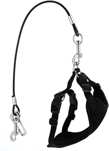 Miniatura 6 de Mogoko Cinturón de seguridad de automóvil para perro a prueba de mordidos, correa de acero inoxidable para mascotas, correa de cinturón de seguridad