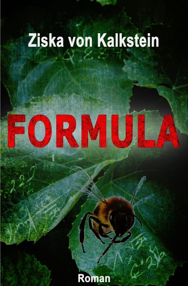 Formula: Roman (German Edition)