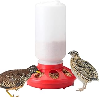 Poultry Feeder - No Waste Chicken Feeder Duck Feeder,1L Detachable Portable Food Dispenser Duck Feeder for Cockatiel, Pigeon, Quail Uuum