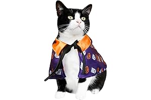 Pumpkin Kitty: The Purrfect Halloween Costume for Your Furry Friend