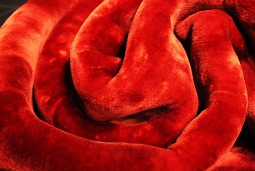 Miniatura 5 de SOLARON Queen Size 78" x 94" Manta de visón coreano sólido Borgoña