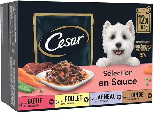 Repas pour Chien CESAR