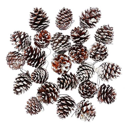 Cooraby 24 Pieces Christmas Pine Cones Ornament Natural Pinecones with String Pendant Crafts for Gift Tag Christmas Tree Party Hanging Decoration, Assorted Sizes from 1.37 to 2.36 Inch (Snow)