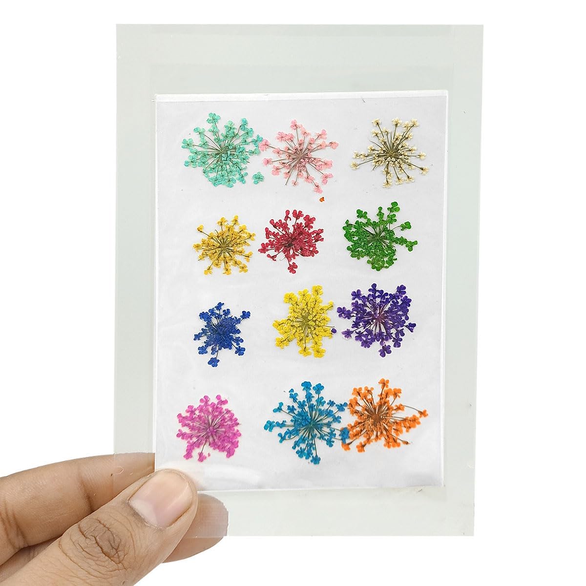 Artool Natural Real Dried & Pressed Flowers for Art Craft - Mixed, Multicolor for Soap, Candle, Scrapbooking, DIY, Resin Jewelry, Pendant - [Snowdrop Flower-Multicolor]-picture-23