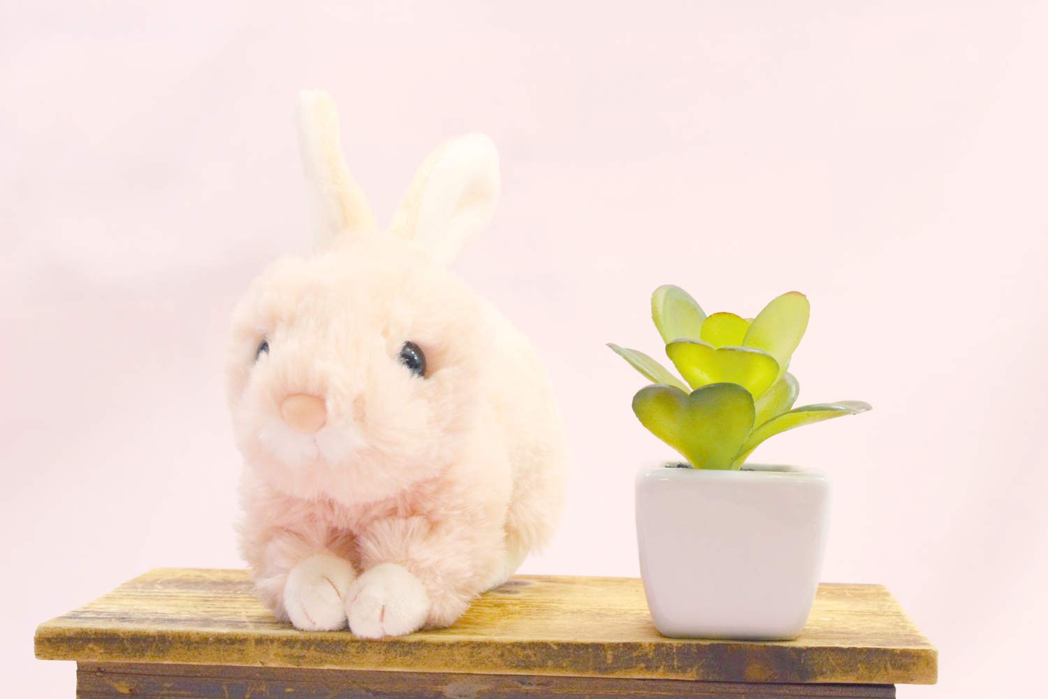 Amazon.co.jp: テイクオフ うさぎのマロン レッキス ピンク : おもちゃ