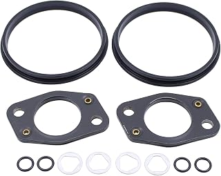 ApplianPar Fuel Pump Reseal Kit for LS460 2007 2008 2009 2010 2011 2012 2013 2014 2015 2016 2017