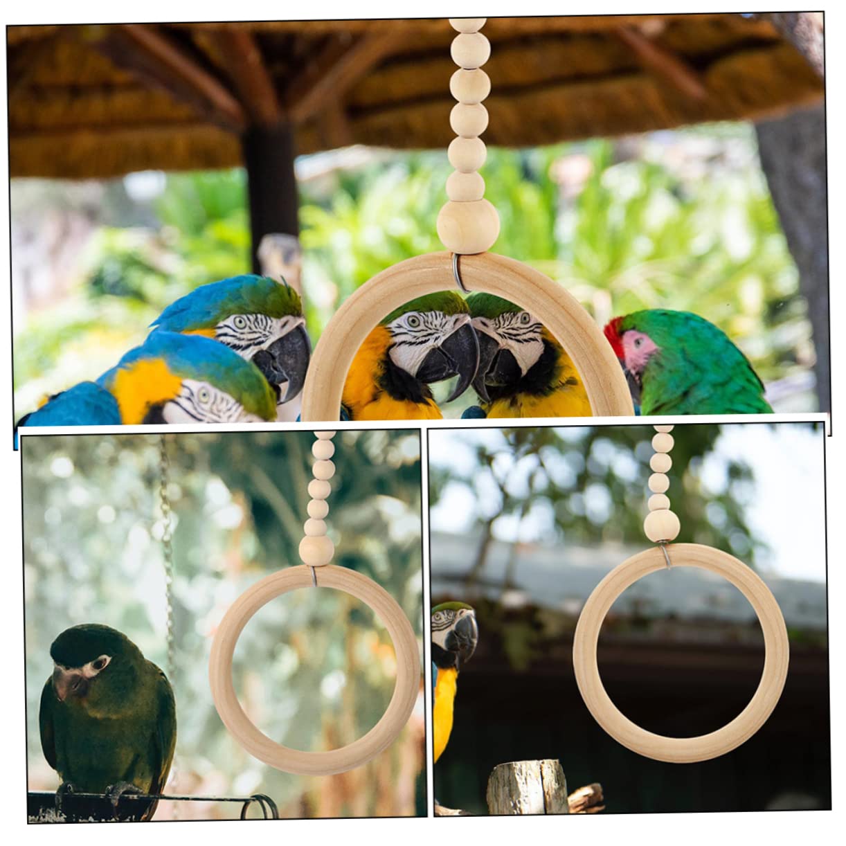 VANZACK 5stücke Vogelspielzeug Für Papageien Kreisschwingen Spielzeug Für Vogelkäfige Für Wellensittiche Nymphensittiche Und Andere Haustiere Fördert Und