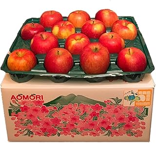 りんご 訳あり家庭用【年内発送】葉取らず サンふじ 約5kg(14~20玉程度)青森県特別栽培農産物認証農園