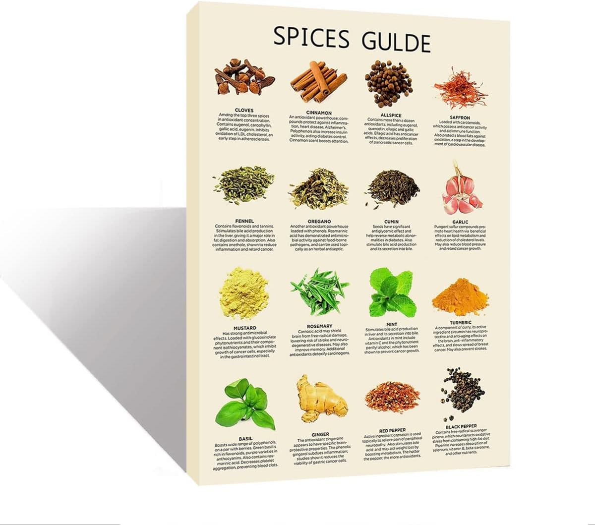 FHMDREUP Types of Spices Poster Vintage Spices Guide Wall