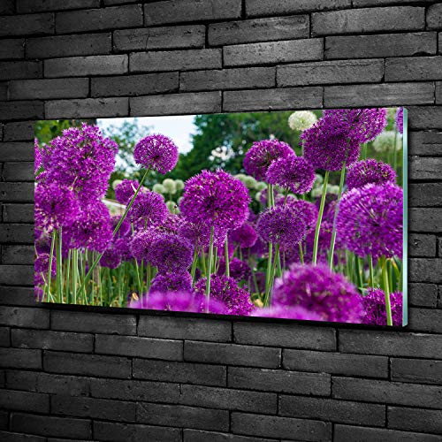 Tableau plexiglas Tulup 100x50 cm impression haute définition fleurs violettes