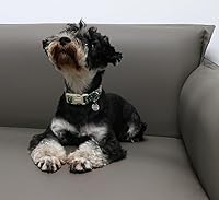 Vista 157 de DOGWONG Collar de perro de San Valentín, collar de perro con estampado de corazones para perros grandes, lindos collares de primavera, hembra