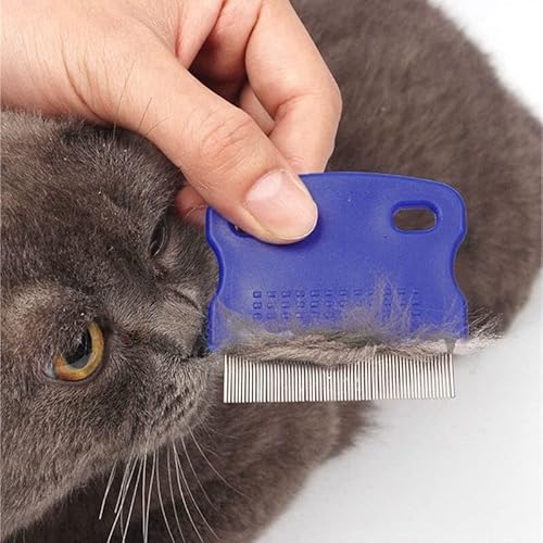 Pente Inox Anti Pulgas Para Caes e Gatos Azul