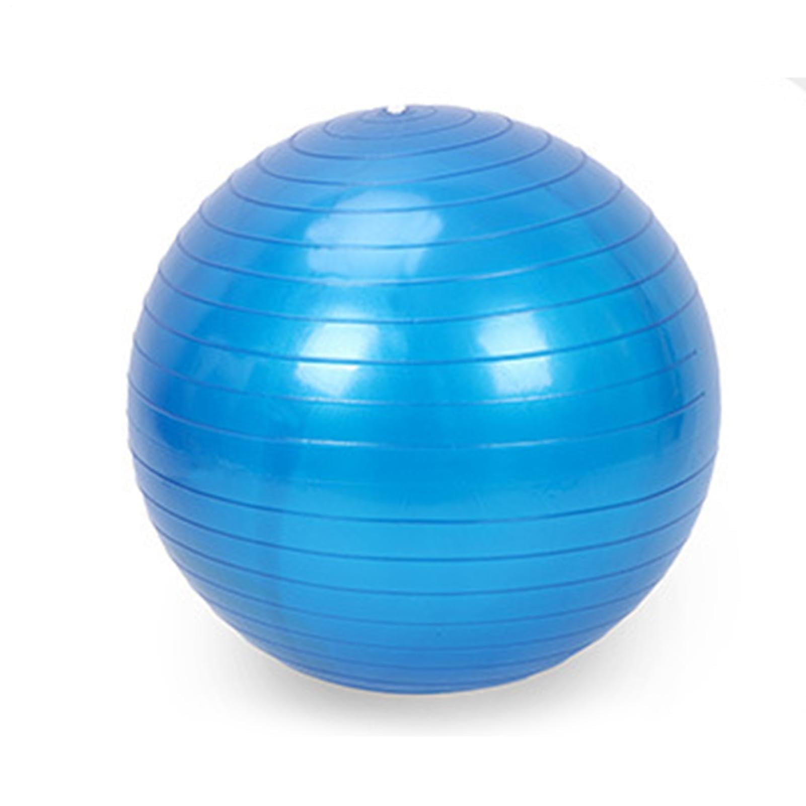 Pelota Gigante De Pastoreo Para Perros Juguete Inflable Cachorros | Pelota De Entrenamiento Para Cachorros para Padres de Mascotas, Amantes de Animales, Patio, Jardín, Parque, Apartamento,