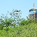 HUBSAN H501SS X4 Drone without Controller (H501S-36)