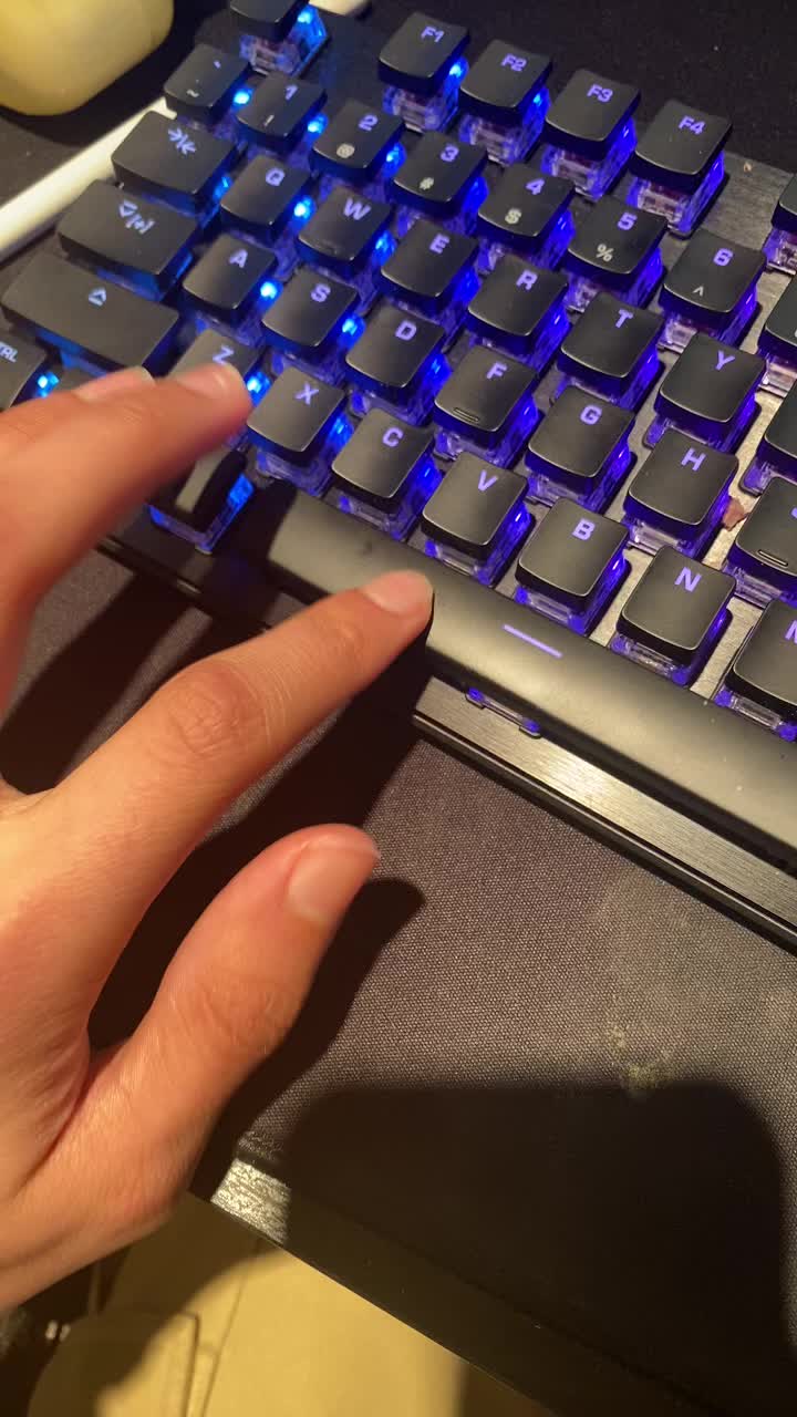 61pcMhVLoXL.jpg