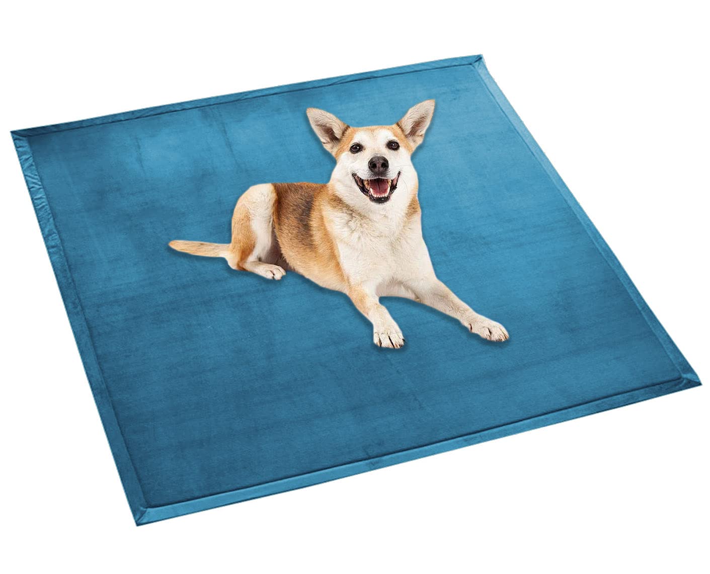 Waigg Kii Dog Bed Mat Soft Coral Velvet Large Pet Mat,Calming Cat Sleeping Mat Non-Slip Dog Mattress for Small Medium Large Dogs Cats (160x160cm,Blue)