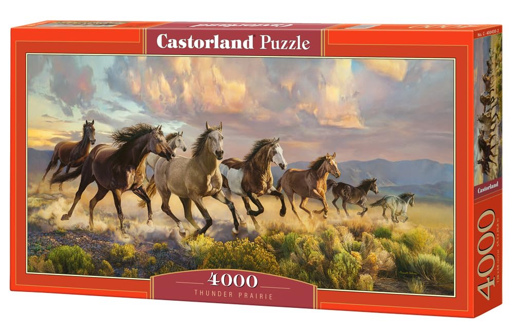 4000 Piece Jigsaw Puzzles, Thunder Prairie