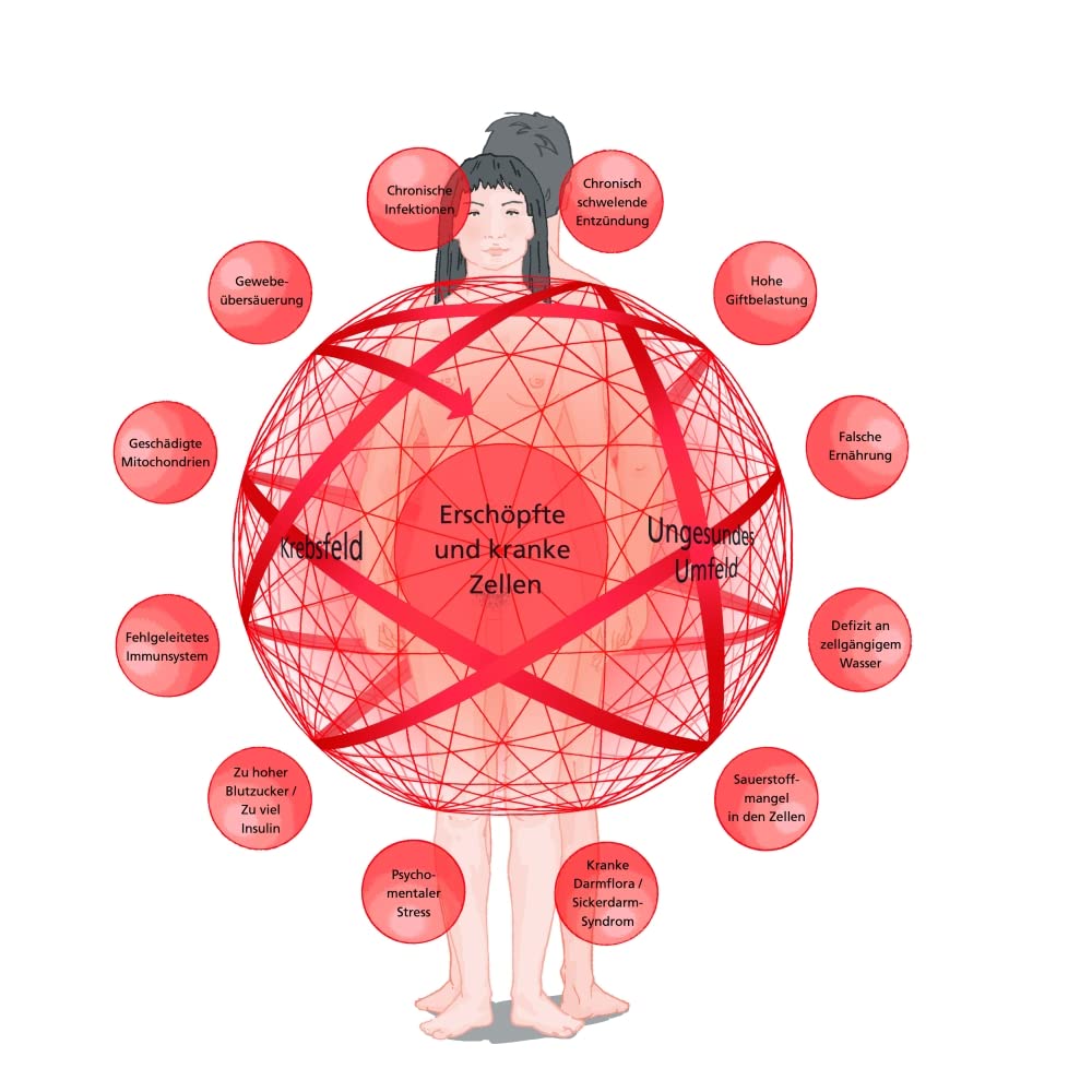 Krebs verstehen und ganzheitlich behandeln: Integrative Strategien