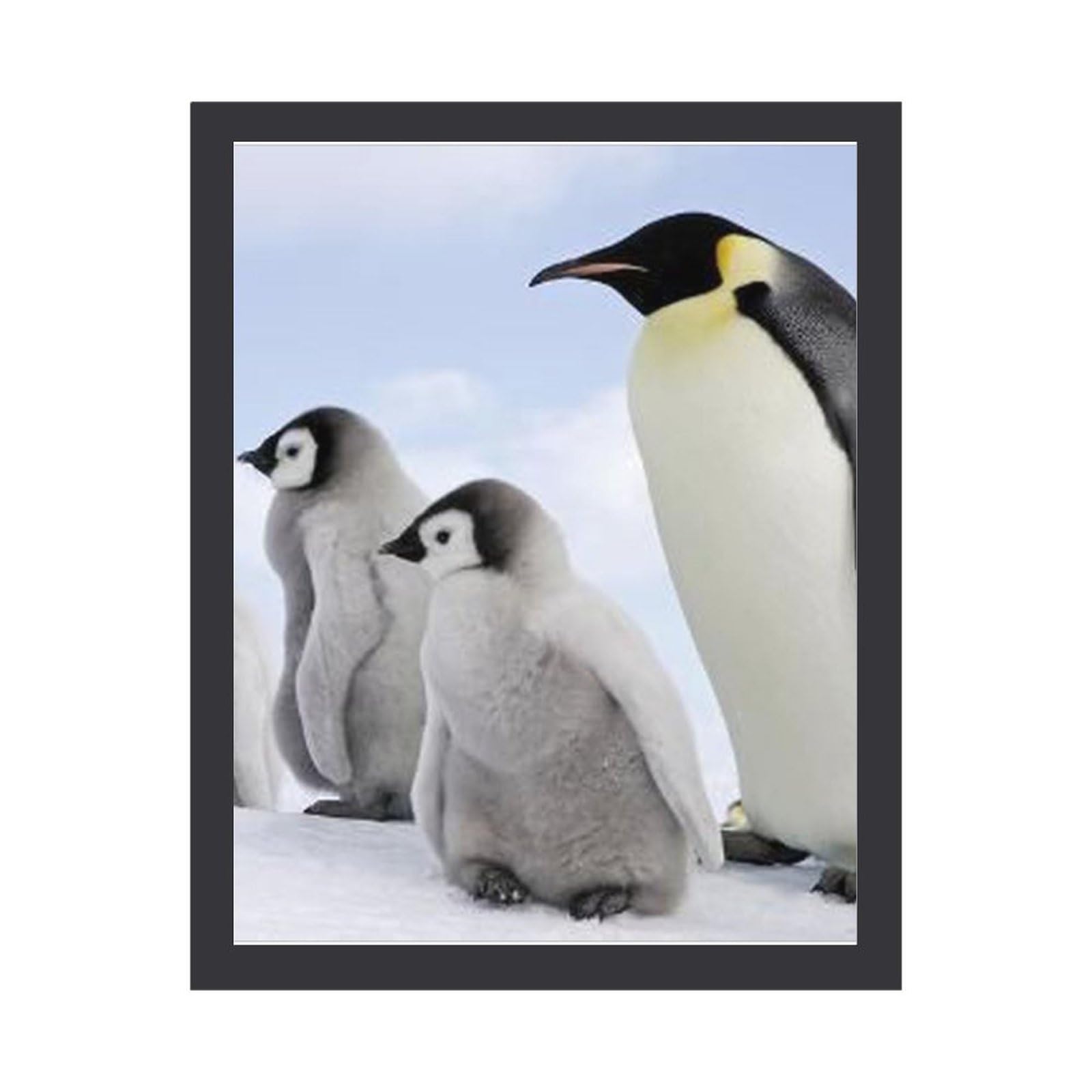 Amazon.co.jp: 雪の中のペンギンと3匹の子ペンギン 絵画 絵 野生動物の 