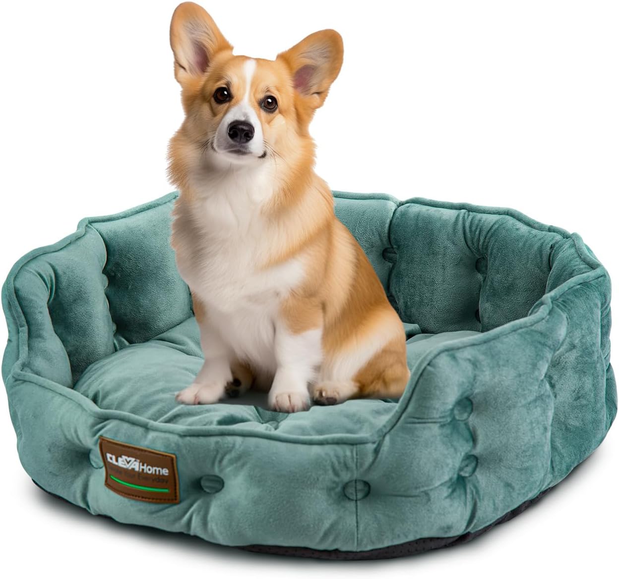 ClevaHome Cat Dog Bed for Small Pets up to 15lbs - Round Cat Beds for Indoor Cats, Machine Washable Comfortable Pet Bed for Puppy and Kitten with Non-Slip Bottom (Washed Green)