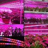 Macabolo B0822PRV6P lato 4