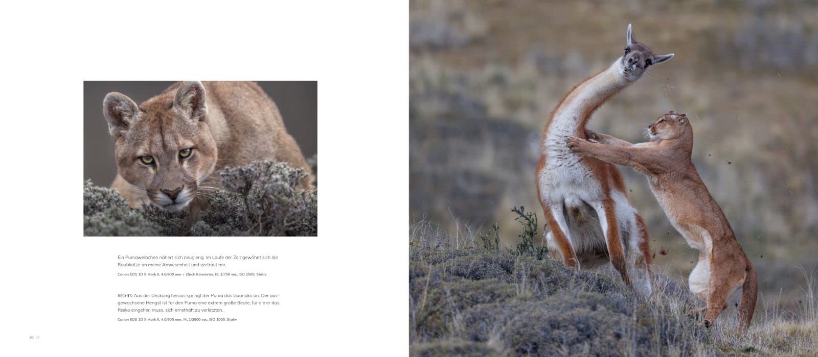 Jäger des Lichts: Leidenschaft Naturfotografie. Bildband