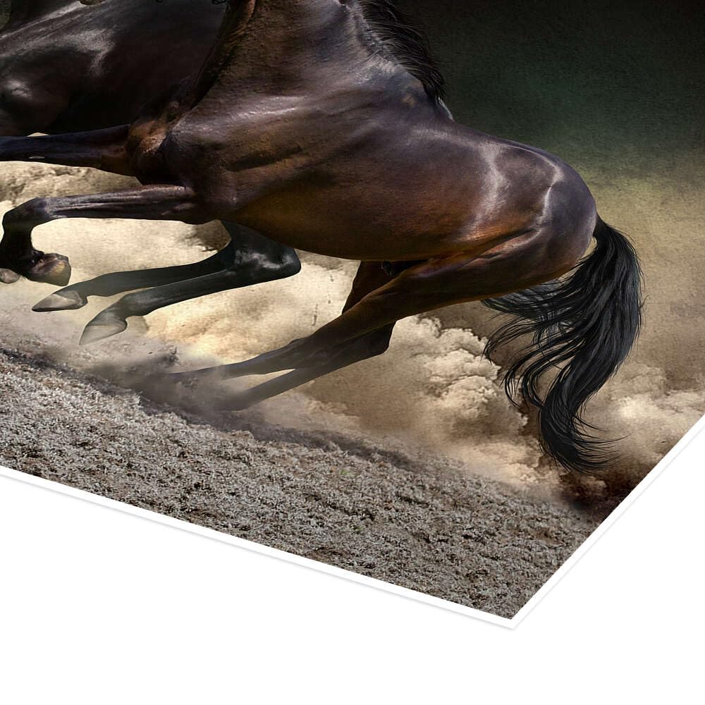 Mustang gallop Plakat
