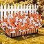12 Pcs Orange White