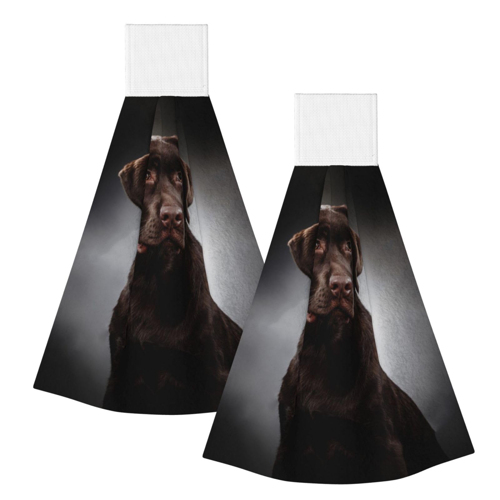 DOPKLNA Labrador Retriever, 2 Pcs Hanging Coral Fiber Hand Towels for Bathroom, Absorbent Kitchen Towels