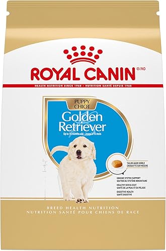 Royal Canin Golden Puppy