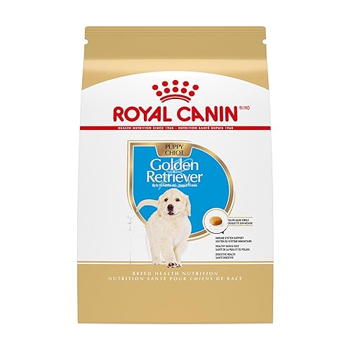 Royal Canin Breed Health Nutrition Golden Retriever Puppy Dry Dog