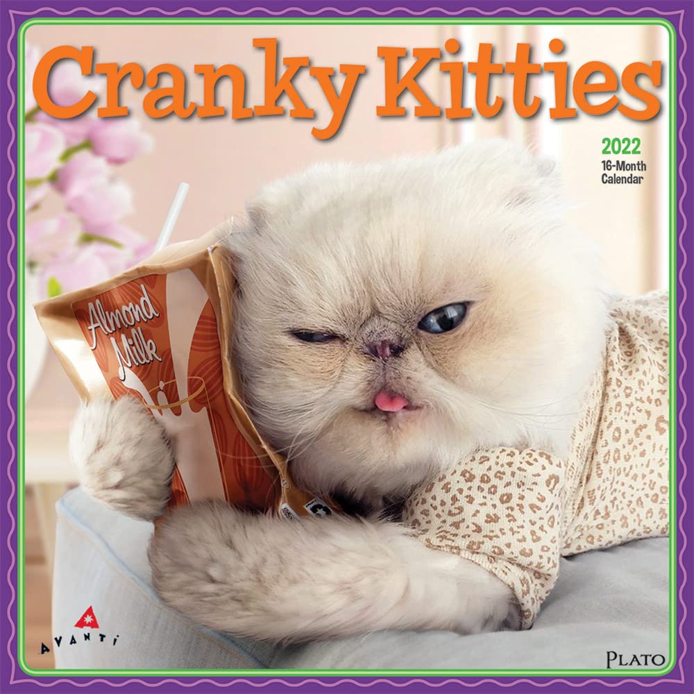 Avanti Cranky Kitties 2022 12 x 12 Inch Monthly Square Wall Calendar by