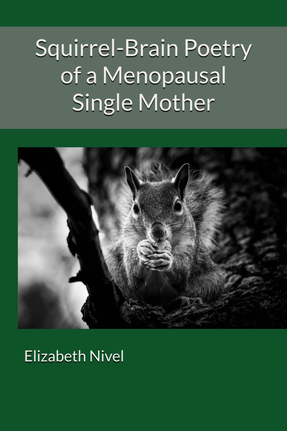 Squirrel-Brain Poetry of a Menopausal Single Mother