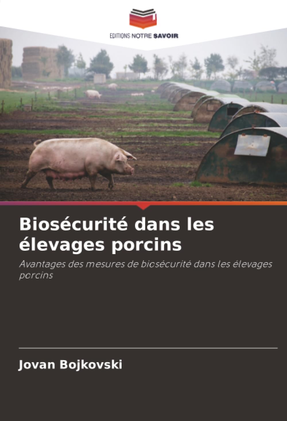 Biosécurité dans les élevages porcins: Avantages des mesures de biosécurité dans les élevages porcins