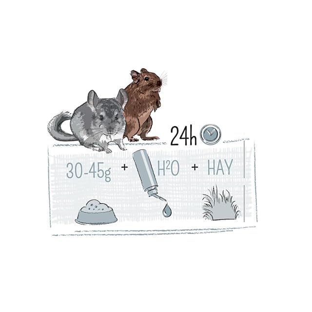 Foto 4 de 4 de Witte Molen Chinchilla & Degu Mezcla Gourmet Muesli, 500 g