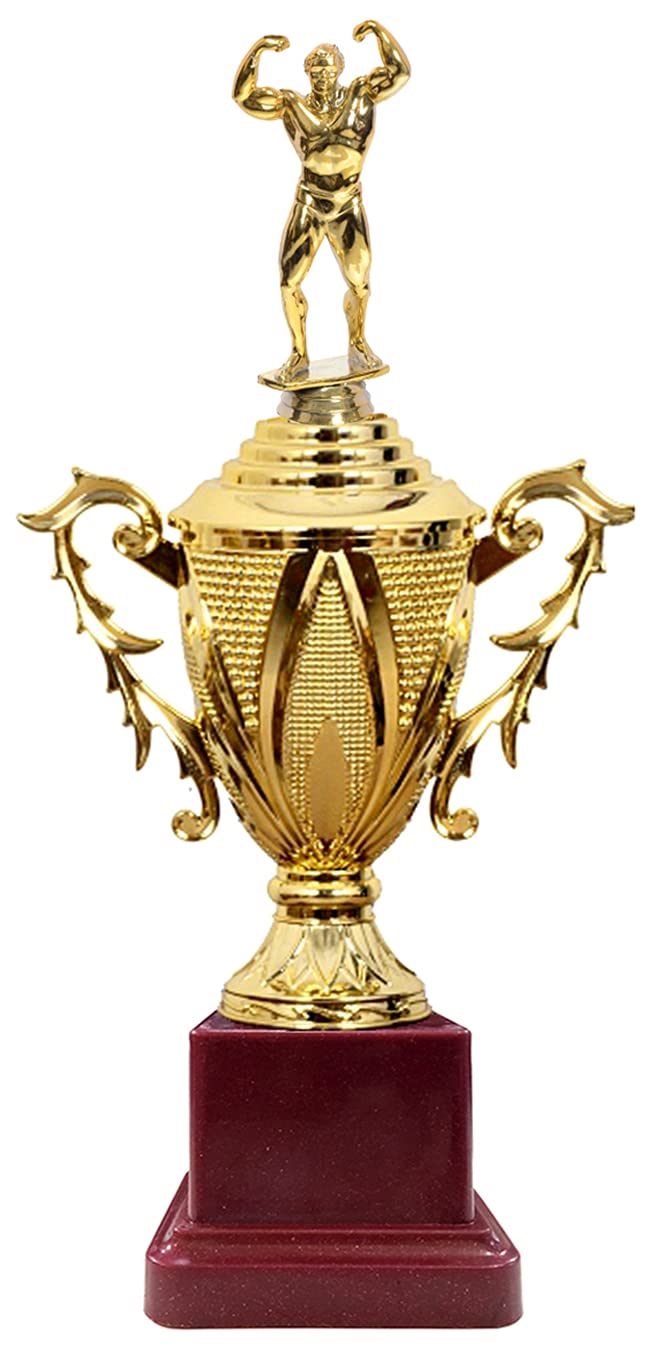 See full amazon price history chart for Be Win Winner Golden & Fiber Boby Builder On Cup Trophy for Body Building Compitetions, Body Builders Events & Functions Be Win Winner Golden & Fiber Boby Builder On Cup Trophy for Body Building Compitetions, Body Builders Events & Functions (B09GVNG3T5) Amazon Price History, Amazon Price Tracker