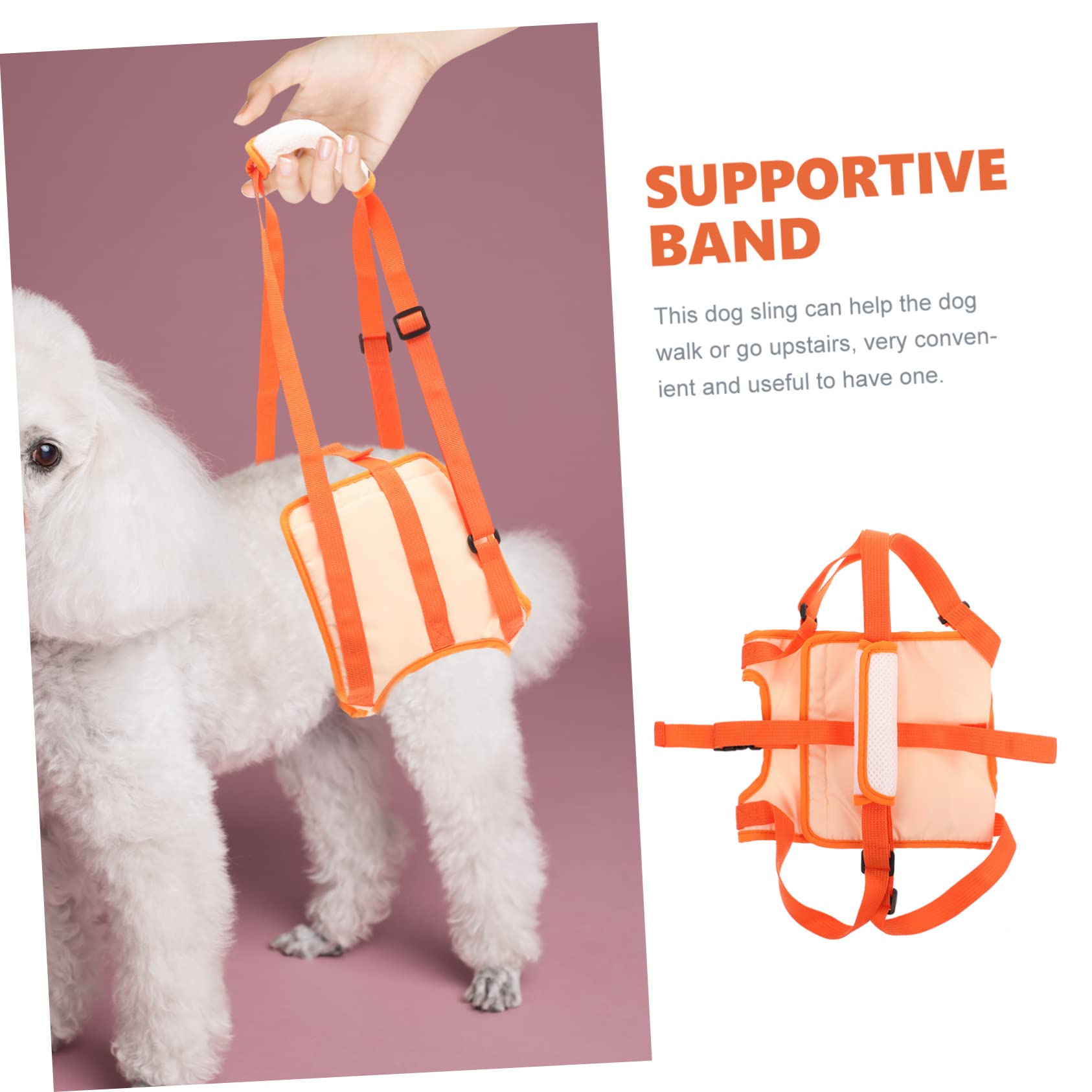 BESPORTBLE 3pièces De Soutien pour Chien Ceinture De Levage Ajustable pour Assistance Marche Et Réhabilitation pour Chiens Âgés Ou Handicapés XL