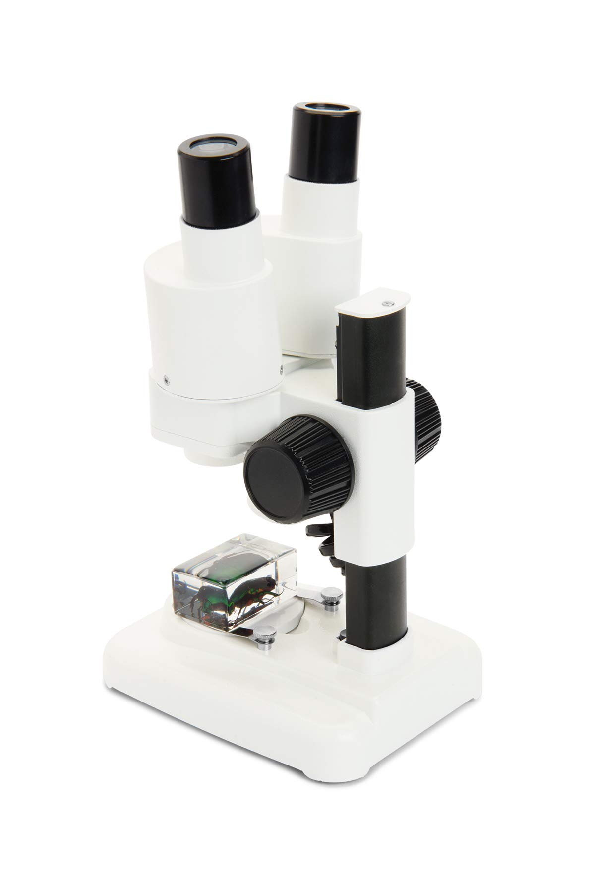 Celestron 44207 Labs CL-S20 Microscopio stereo