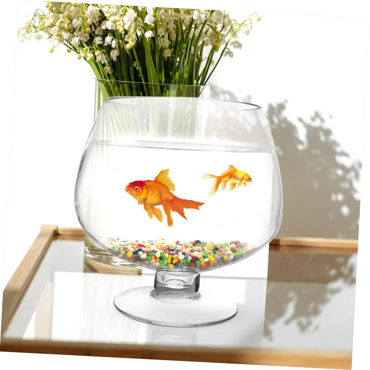 TOPBATHY Aquarium Décoratif en Verre pour Poissons Betta Mini Aquarium Design Moderne Et Élégant Idéal pour La Décoration De La Maison Ou du Bureau